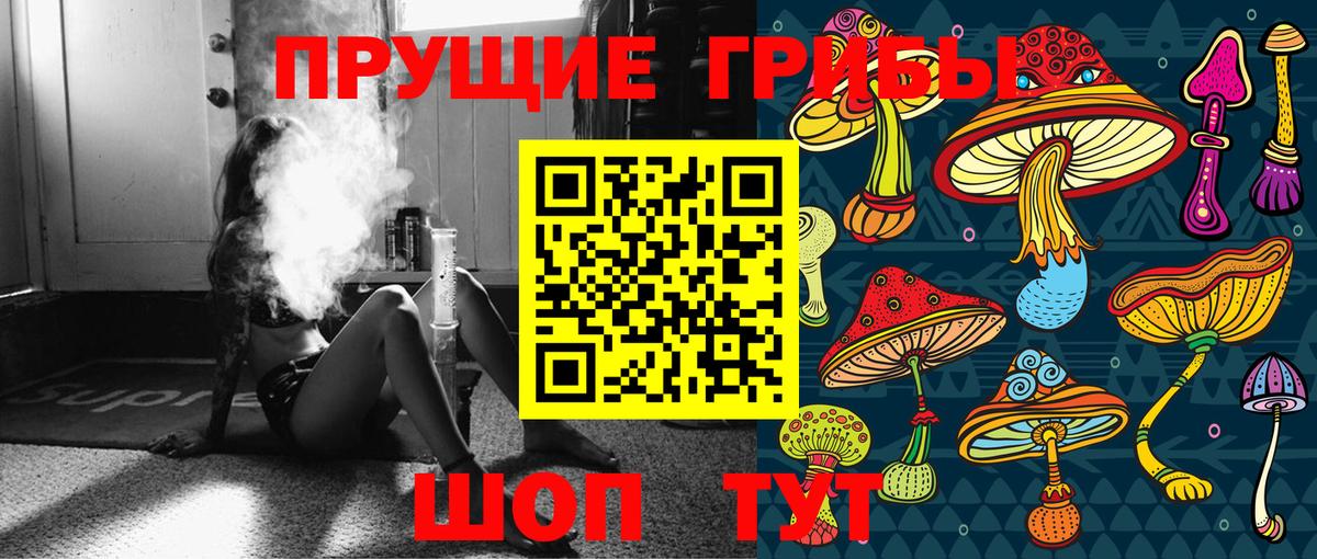 Россошь  Псилоцибиновые грибы GOLDEN TEACHER  цены   Вход с VPN 